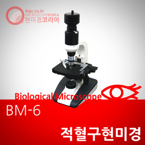 [적혈구 현미경] BM-6