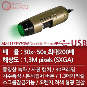 [USB 전자현미경] AM4113T-YFGW